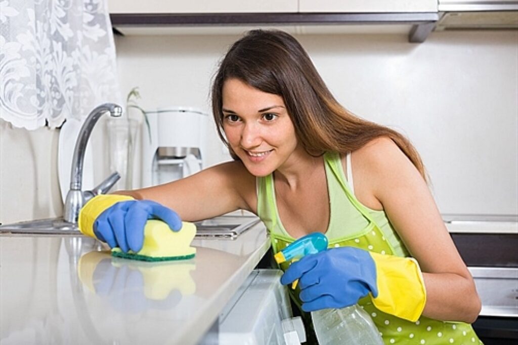 Light Cleaning, Pet Care, and General Maintenance of the Home